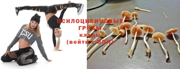 экстази Дмитров