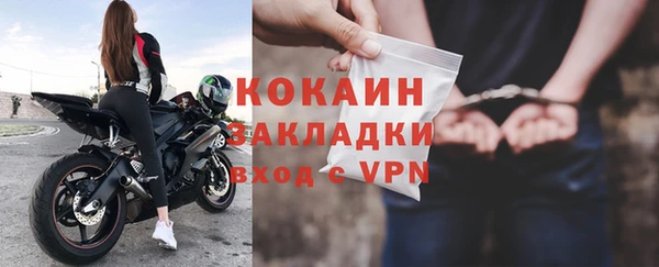 амф Дмитриев