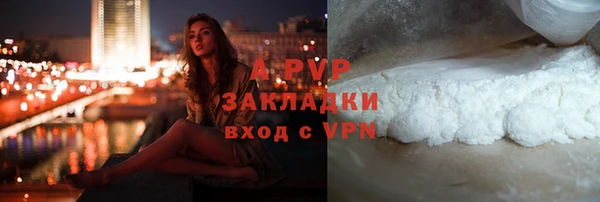 амф Дмитриев