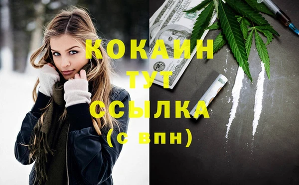 амф Дмитриев