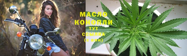 амф Дмитриев